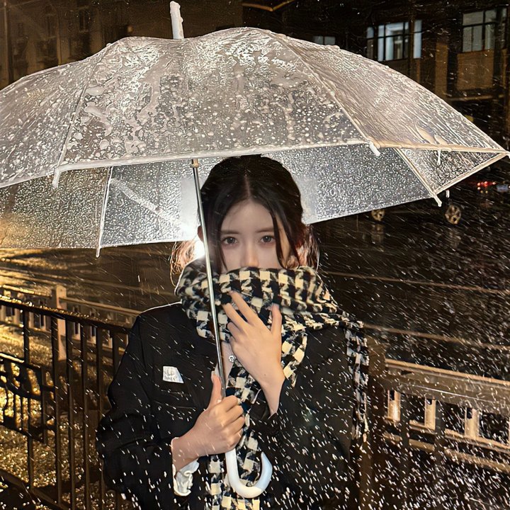 Celeb Five 会议中