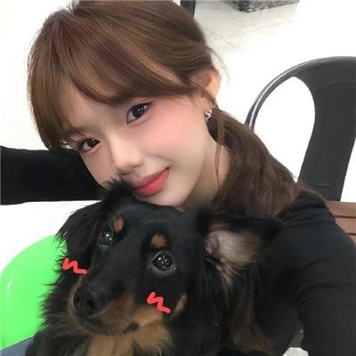 探案新窍门 第五季